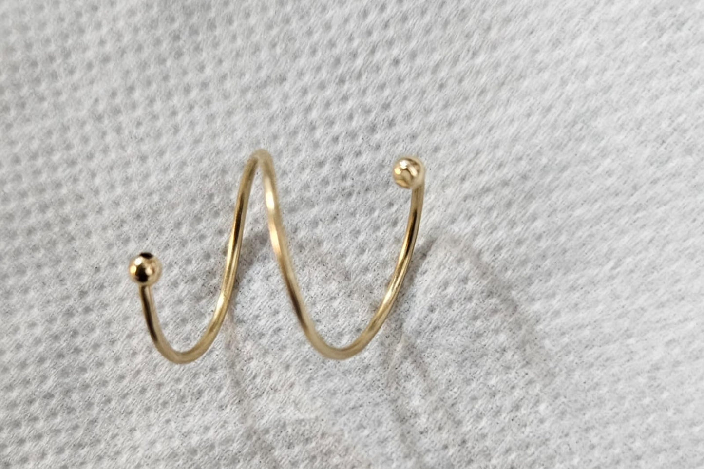 Double Spiral Hoop Earring