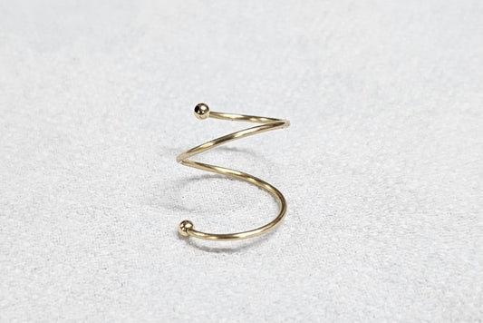 Double Spiral Hoop Earring