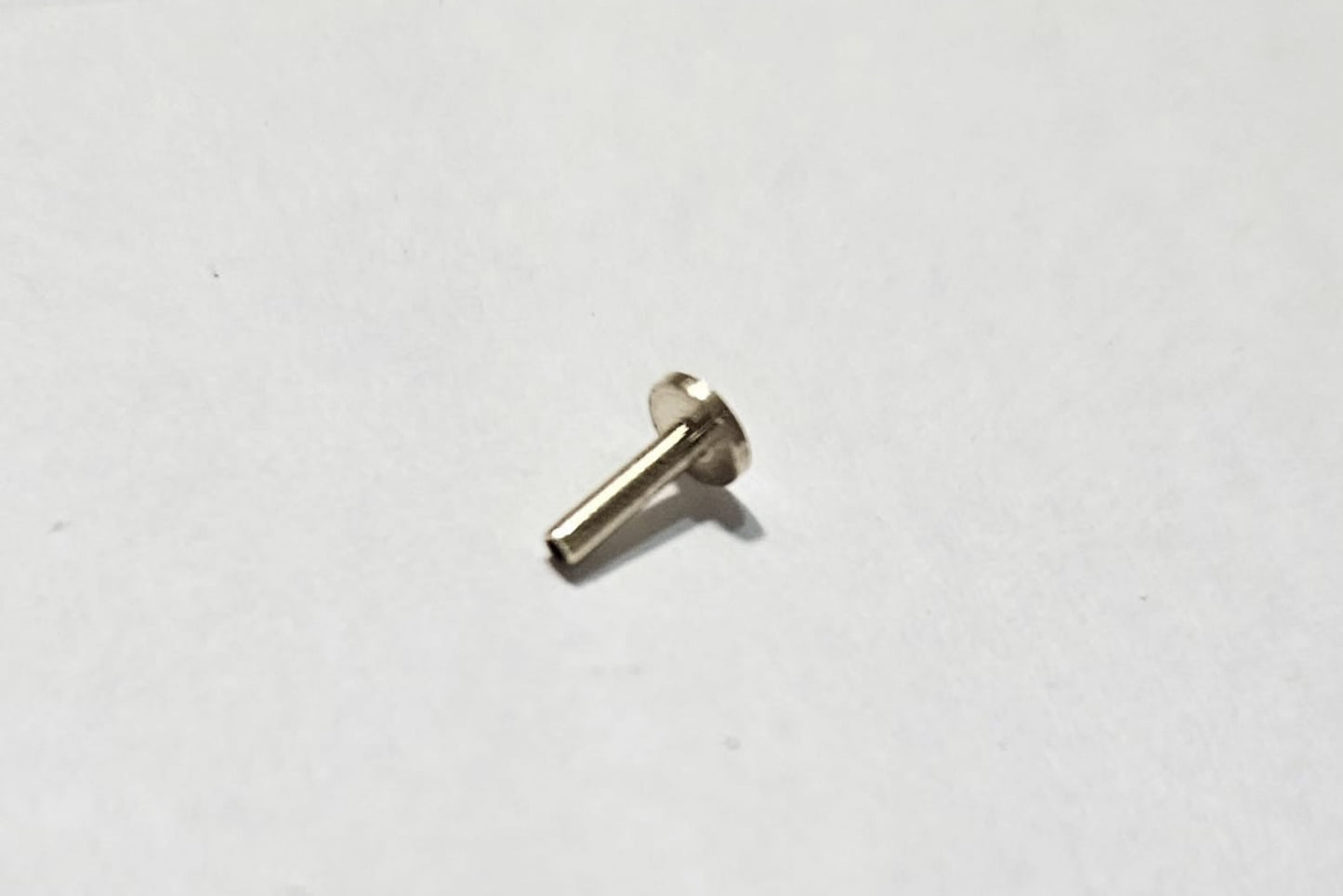 Solid Gold Flatback Threadless Labret